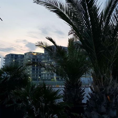 The Horse - De Silva Residence Mamaia Ngoại thất bức ảnh