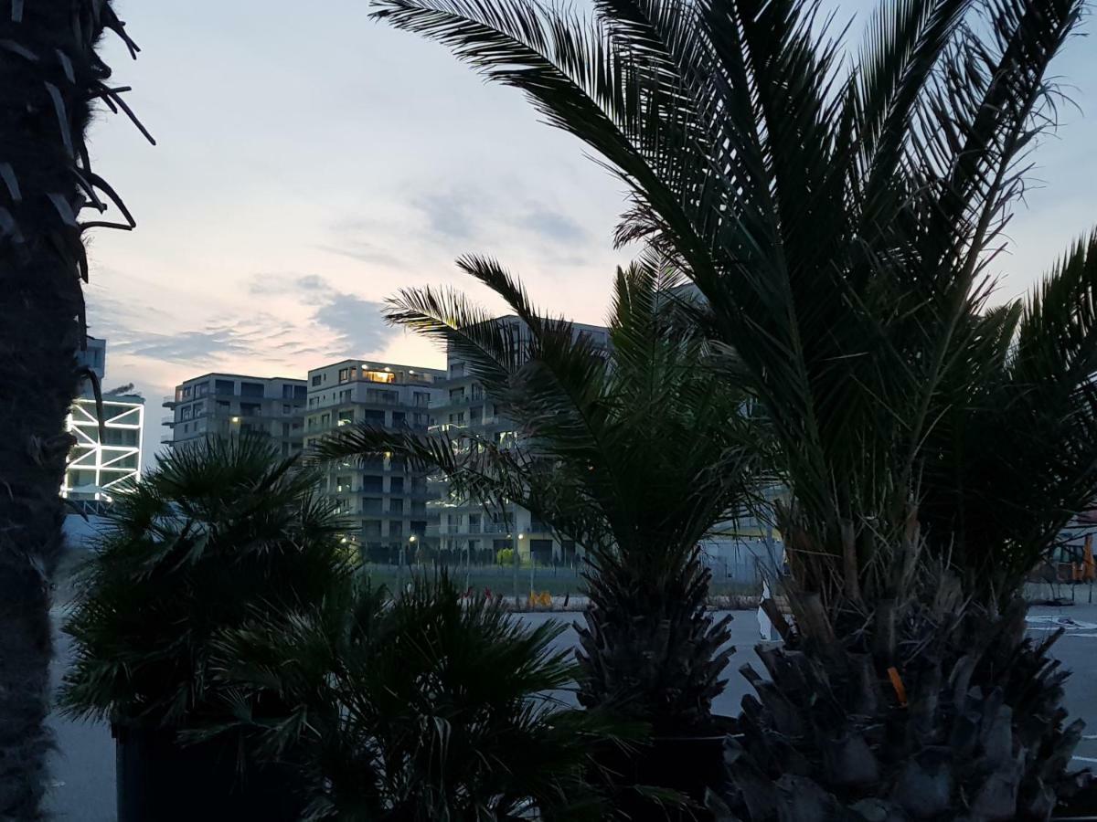 The Horse - De Silva Residence Mamaia Ngoại thất bức ảnh